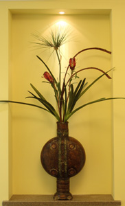 Danville Endodontics in Danville CA